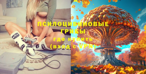 молекула духа Армянск