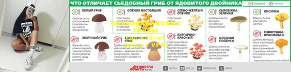 молекула духа Армянск